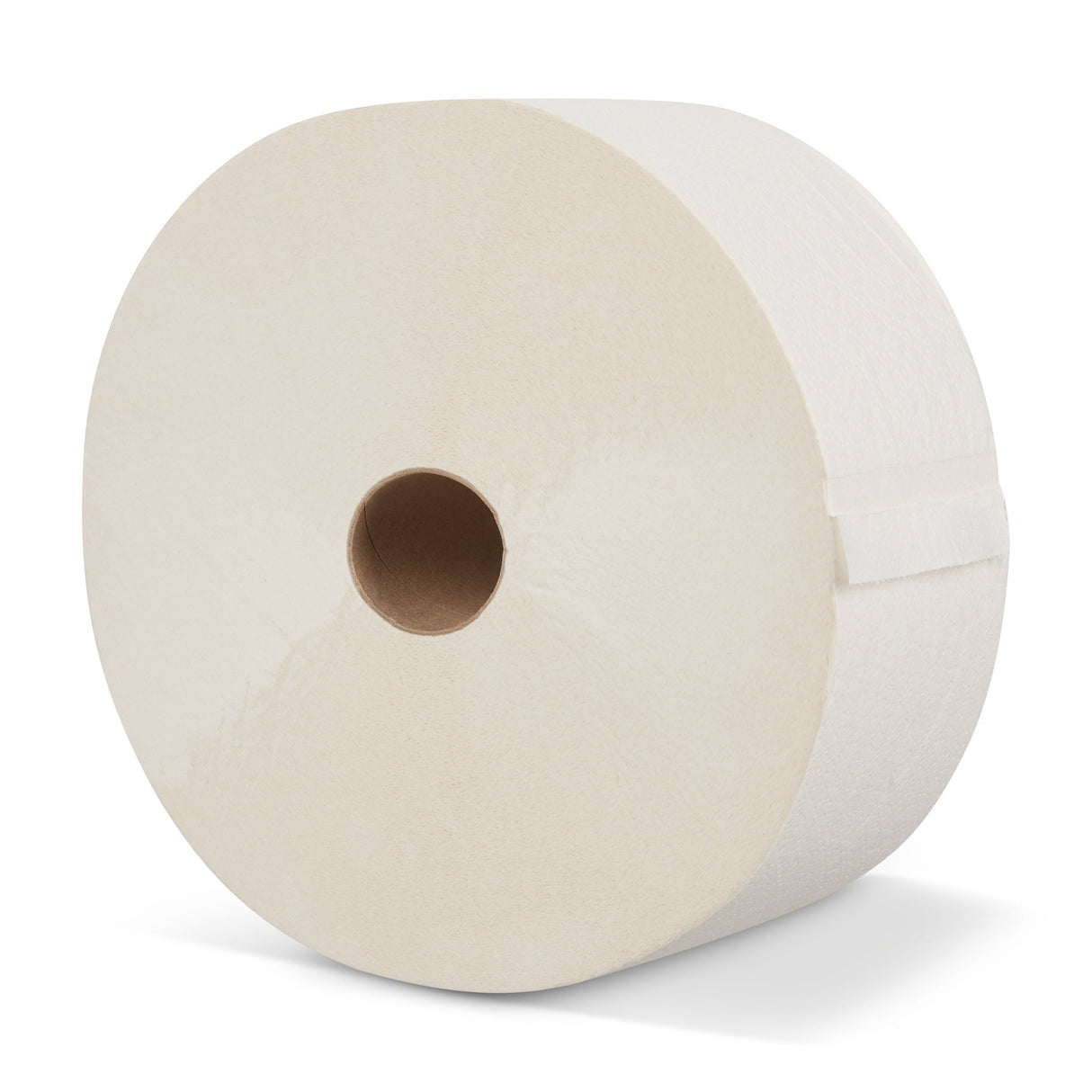 CWS ParadiseLine grote rol toiletpapier recycling, 2-laags